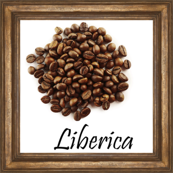 Liberica Coffee Image
