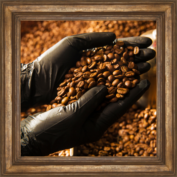 excelsa coffee beans in hands