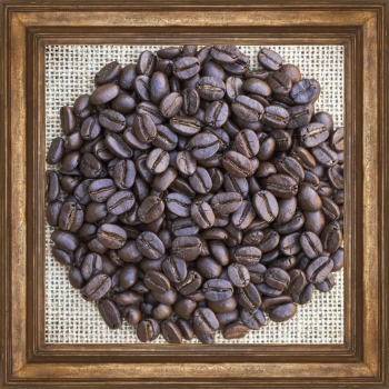 excelsa coffee beans